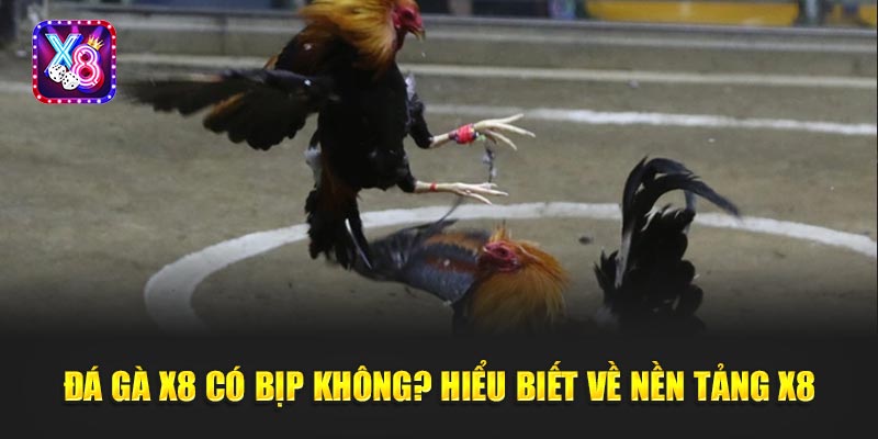 Đá Gà X8 Có Bịp Không? Hiểu Biết Về Nền Tảng X8