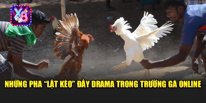 Những Pha “Lật Kèo” Đầy Drama Trong Trường Gà Online