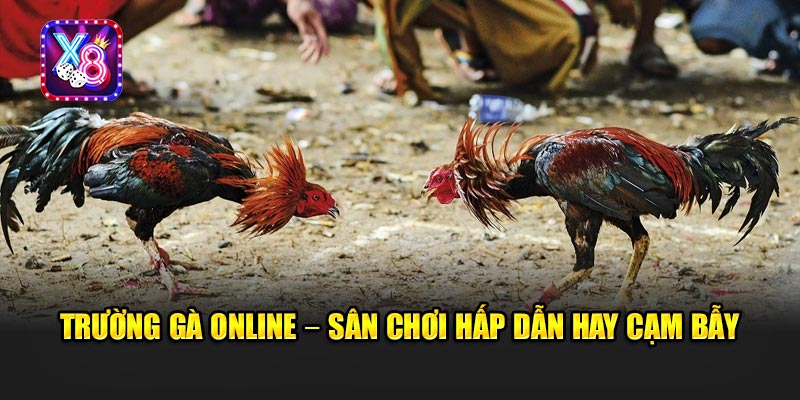 Trường Gà Online – Sân Chơi Hấp Dẫn Hay Cạm Bẫy Nguy Hiểm?
